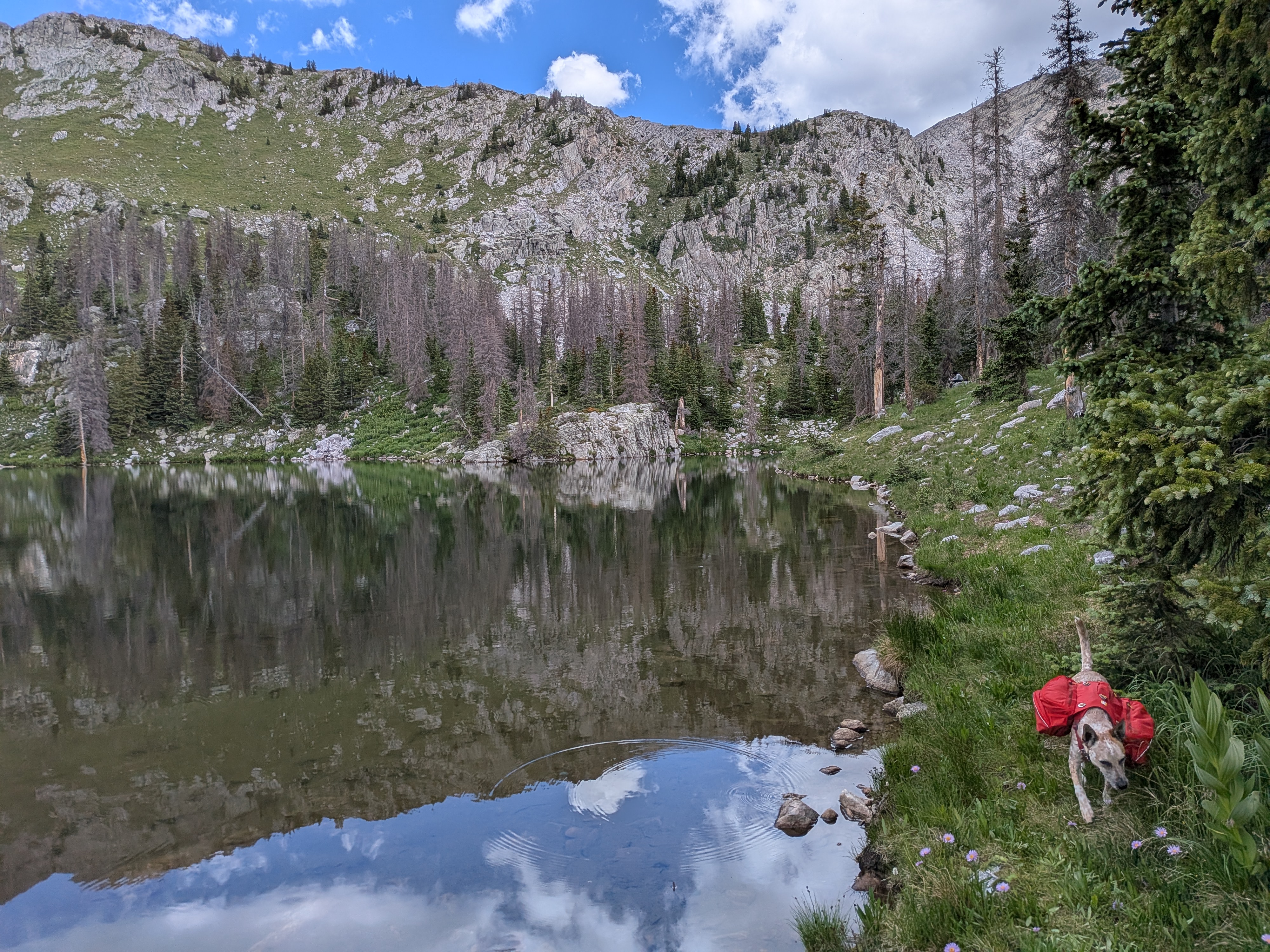 Bruce walks alongside Truchas Lakes up the Santa Barbara Divide with peaks in the background.